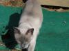 IMG 1380 IMG 1380