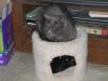 IMG 1421 IMG 1421