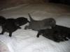 IMG 1809 IMG 1809