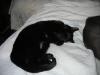 IMG 1989 IMG 1989