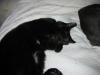 IMG 1990 IMG 1990