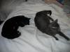IMG 1991 IMG 1991