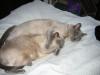 IMG 1993 IMG 1993