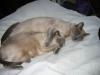 IMG 1994 IMG 1994