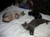 IMG 1995 IMG 1995
