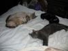IMG 1996 IMG 1996