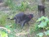 IMG 2046 IMG 2046