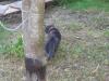 IMG 2047 IMG 2047