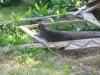 IMG 2048 IMG 2048