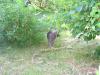 IMG 2050 IMG 2050