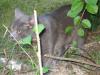 IMG 2051 IMG 2051