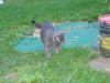 IMG 2052 IMG 2052