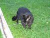 IMG 2053 IMG 2053