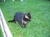 IMG 2054 IMG 2054