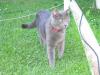 IMG 2055 IMG 2055