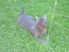 IMG 2056 IMG 2056