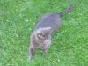 IMG 2057 IMG 2057