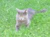 IMG 2058 IMG 2058