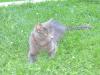 IMG 2059 IMG 2059