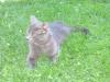 IMG 2060 IMG 2060