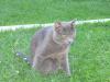 IMG 2062 IMG 2062