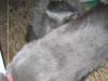 IMG 2063 IMG 2063