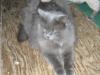 IMG 2064 IMG 2064