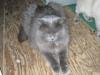 IMG 2065 IMG 2065