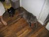 IMG 0019 IMG 0019