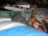 IMG 0020 IMG 0020