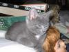IMG 0021 IMG 0021