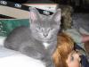 IMG 0022 IMG 0022