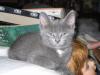 IMG 0023 IMG 0023