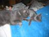IMG 0024 IMG 0024