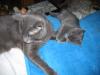 IMG 0025 IMG 0025