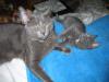 IMG 0026 IMG 0026