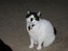 IMG 0140 IMG 0140