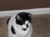 IMG 0127 IMG 0127