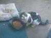 IMG 0175 IMG 0175