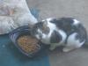 IMG 0177 IMG 0177
