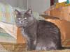 IMG 0180 IMG 0180