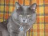 IMG 0181 IMG 0181