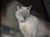 IMG 0183 IMG 0183