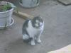 IMG 0185 IMG 0185