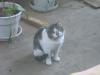 IMG 0186 IMG 0186