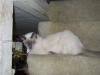 IMG 0187 IMG 0187